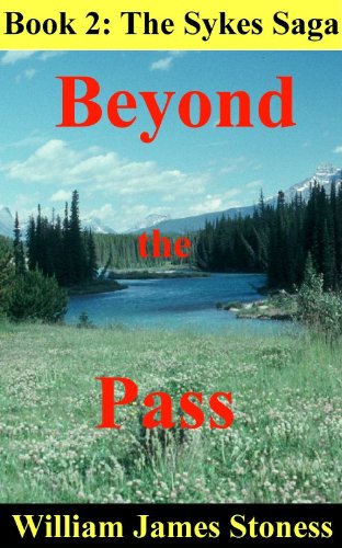 Beyond The Pass Novel Cover