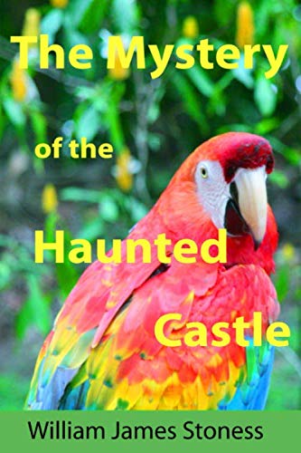 The Mystery of the Haunted Castle